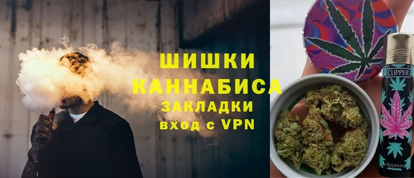 дживик Каменногорск