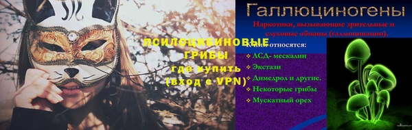 дживик Каменногорск