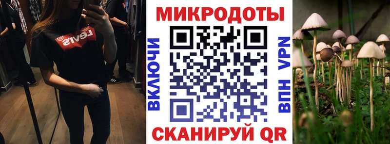 Псилоцибиновые грибы прущие грибы  закладки  Новочебоксарск 